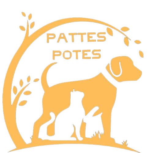 Pattes Potes